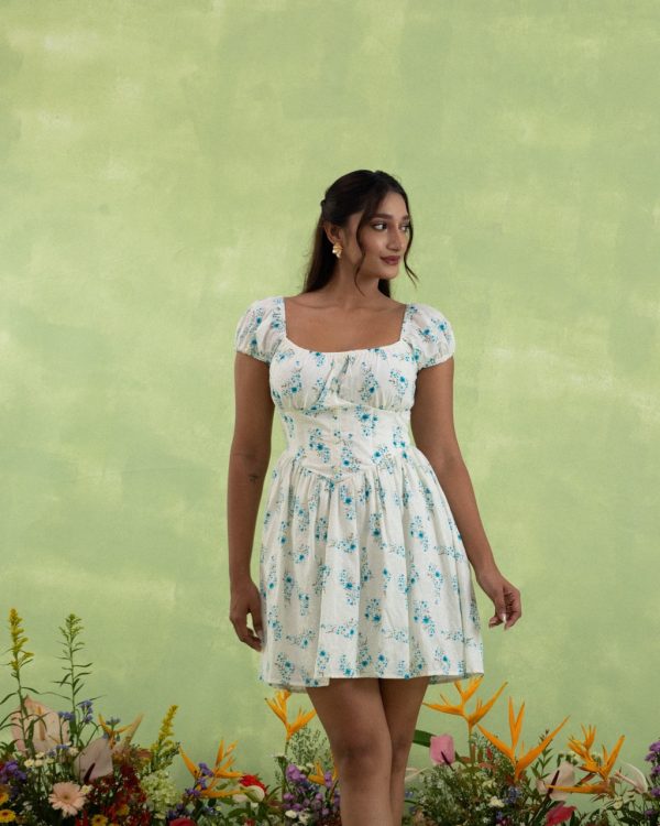 SUGARBLUE - Image 2