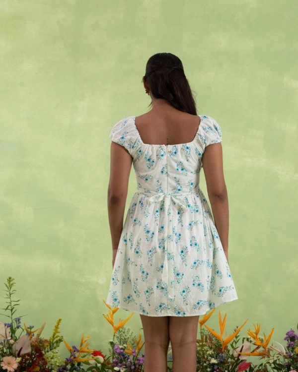 SUGARBLUE - Image 3